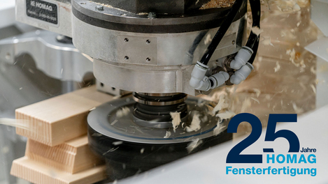 HOMAG CENTATEQ S-800/S-900